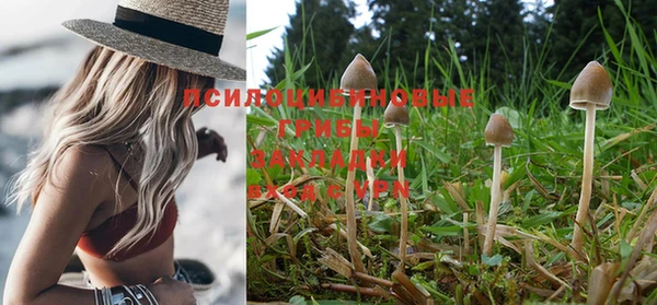 прущая мука Абинск