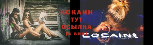МДПВ Абаза