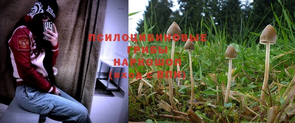 прущая мука Абинск