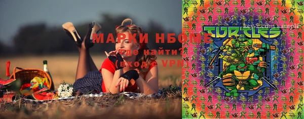 МДПВ Абаза