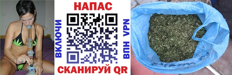 Бошки марихуана индика  наркота  Томилино 